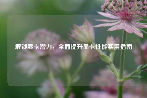 解锁显卡潜力,全面提升显卡性能实用指南
