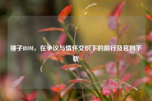 锤子ROM，在争议与情怀交织下的前行及官网下载