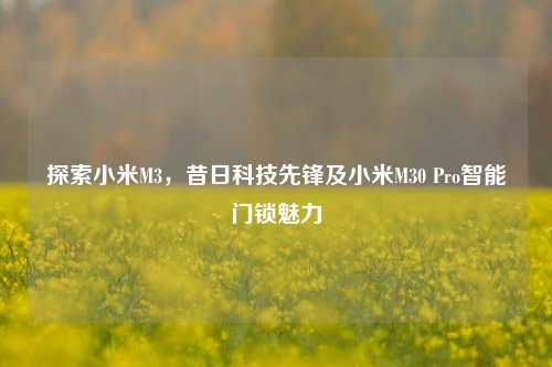 探索小米M3,昔日科技先锋及小米M30 Pro智能门锁魅力