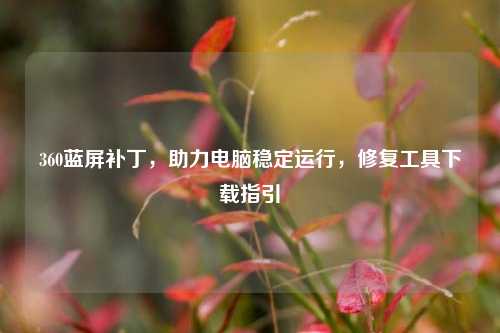 360蓝屏补丁，助力电脑稳定运行，修复工具下载指引