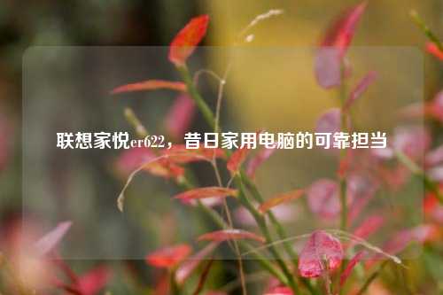联想家悦er622,昔日家用电脑的可靠担当