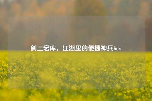 剑三宏库,江湖里的便捷神兵box
