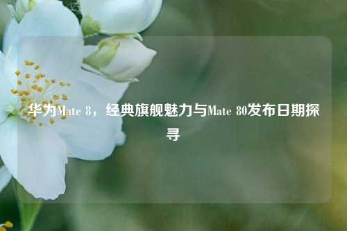 华为Mate 8,经典旗舰魅力与Mate 80发布日期探寻