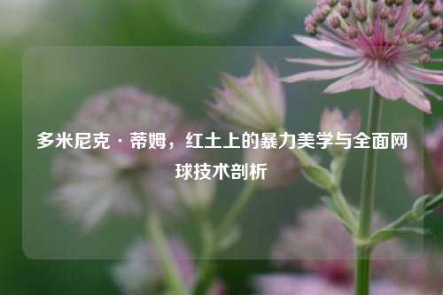 多米尼克·蒂姆,红土上的暴力美学与全面网球技术剖析