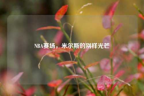 NBA赛场,米尔斯的别样光芒
