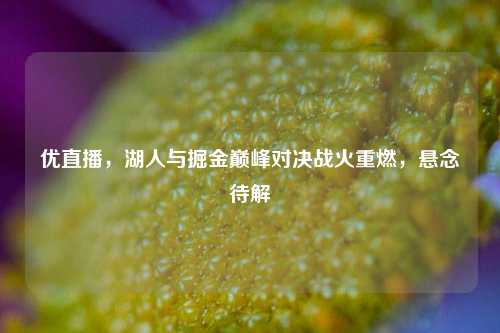 优直播,湖人与掘金巅峰对决战火重燃,悬念待解