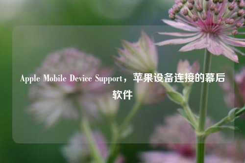 Apple Mobile Device Support,苹果设备连接的幕后软件