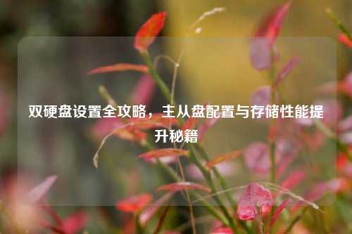 双硬盘设置全攻略，主从盘配置与存储性能提升秘籍