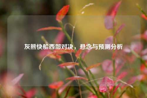灰熊快船西部对决，悬念与预测分析