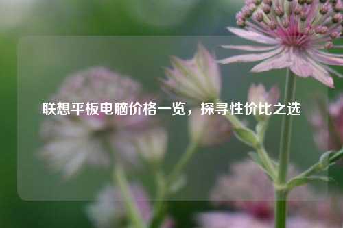 联想平板电脑价格一览，探寻性价比之选