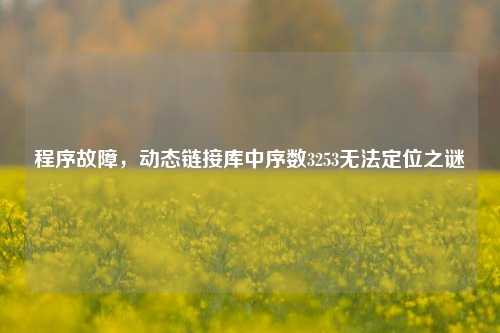 程序故障,动态链接库中序数3253无法定位之谜