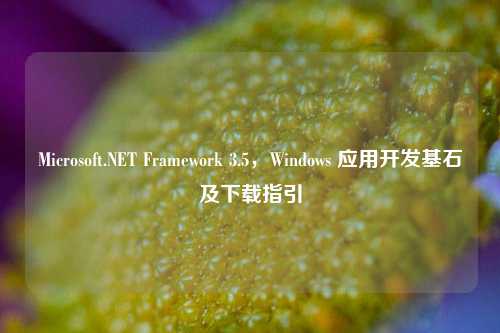 Microsoft.NET Framework 3.5,Windows 应用开发基石及下载指引