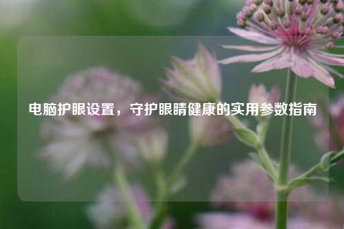 电脑护眼设置，守护眼睛健康的实用参数指南