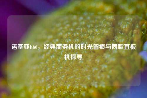 诺基亚E66,经典商务机的时光留痕与同款直板机探寻