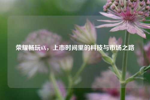 荣耀畅玩6X,上市时间里的科技与市场之路