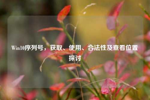 Win10序列号,获取、使用、合法性及查看位置探讨