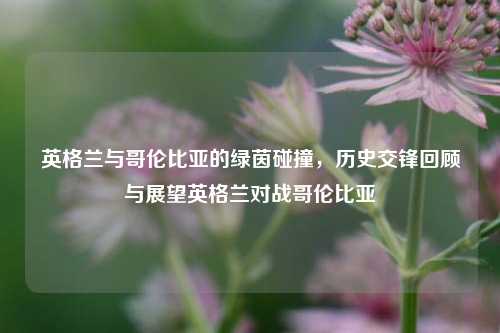 英格兰与哥伦比亚的绿茵碰撞，历史交锋回顾与展望英格兰对战哥伦比亚