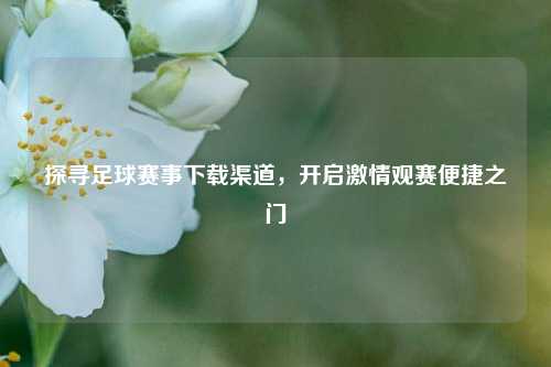 探寻足球赛事下载渠道,开启激情观赛便捷之门
