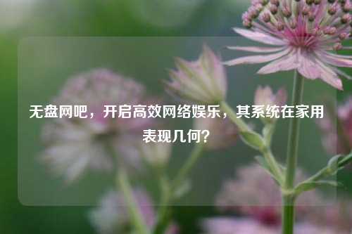 无盘网吧,开启高效网络娱乐,其系统在家用表现几何?