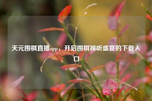 天元围棋直播app,开启围棋视听盛宴的下载入口