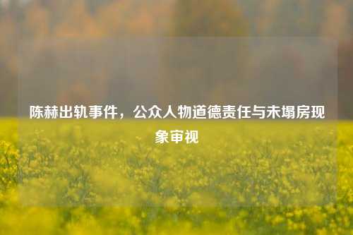 陈赫出轨事件,公众人物道德责任与未塌房现象审视