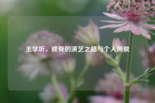 王学圻,戏骨的演艺之路与个人风貌