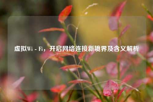 虚拟Wi - Fi，开启网络连接新境界及含义解析
