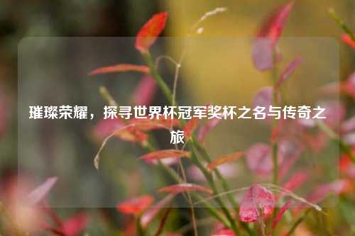 璀璨荣耀,探寻世界杯冠军奖杯之名与传奇之旅