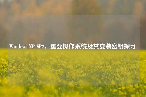 Windows XP SP2,重要操作系统及其安装密钥探寻