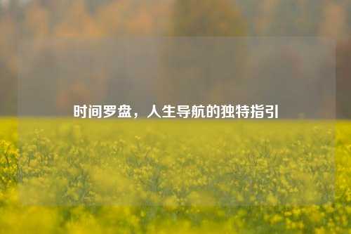时间罗盘,人生导航的独特指引