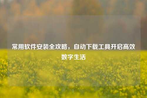 常用软件安装全攻略,自动下载工具开启高效数字生活