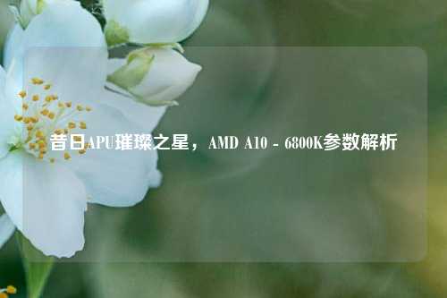 昔日APU璀璨之星，AMD A10 - 6800K参数解析