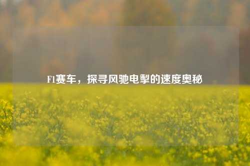 F1赛车，探寻风驰电掣的速度奥秘