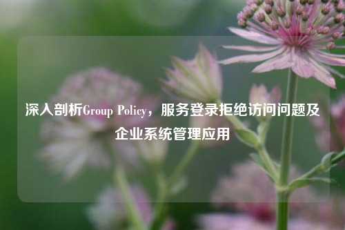 深入剖析Group Policy,服务登录拒绝访问问题及企业系统管理应用