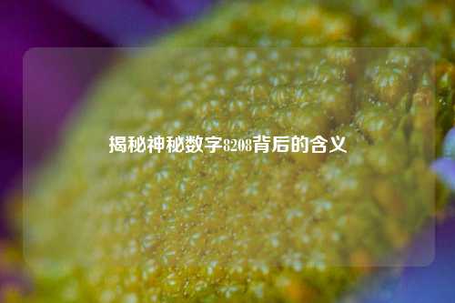 揭秘神秘数字8208背后的含义