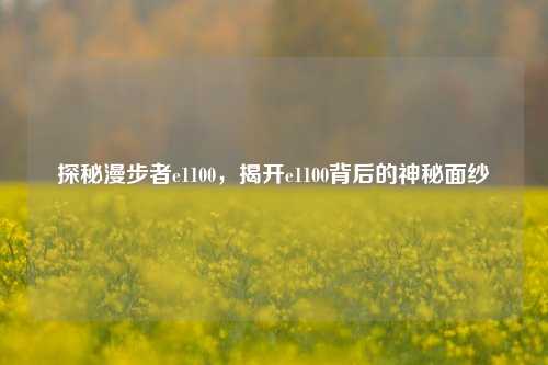 探秘漫步者e1100,揭开e1100背后的神秘面纱