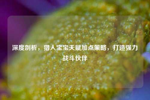 深度剖析，猎人宝宝天赋加点策略，打造强力战斗伙伴