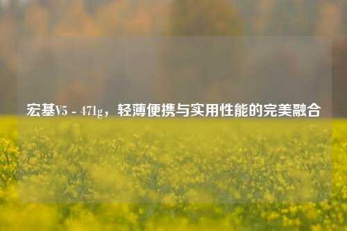 宏基V5 - 471g,轻薄便携与实用性能的完美融合