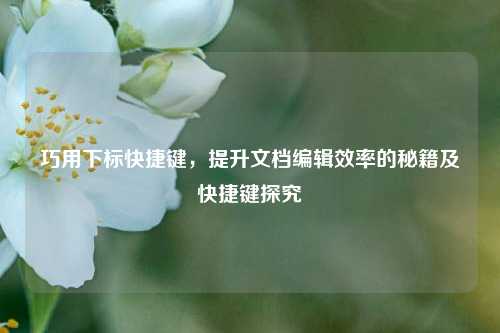 巧用下标快捷键,提升文档编辑效率的秘籍及快捷键探究