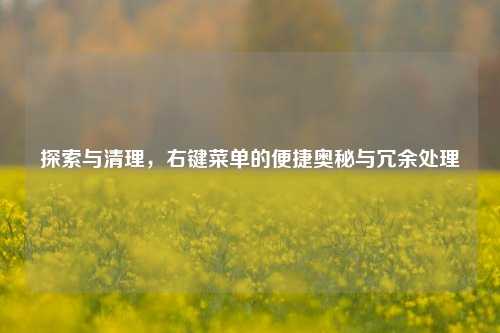 探索与清理，右键菜单的便捷奥秘与冗余处理