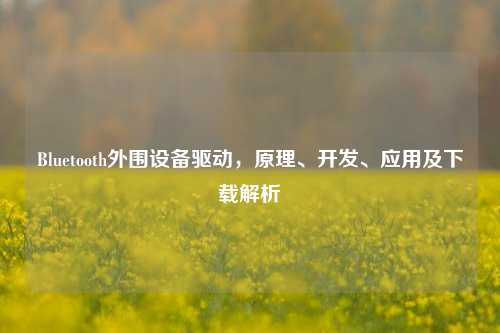 Bluetooth外围设备驱动，原理、开发、应用及下载解析