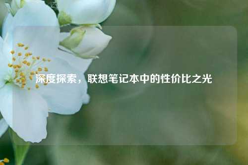 深度探索，联想笔记本中的性价比之光