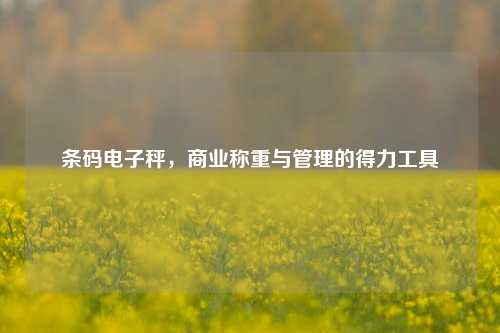条码电子秤,商业称重与管理的得力工具