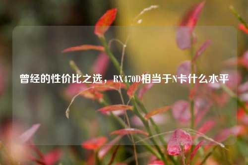 曾经的性价比之选,RX470D相当于N卡什么水平
