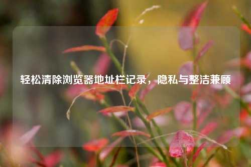 轻松清除浏览器地址栏记录，隐私与整洁兼顾