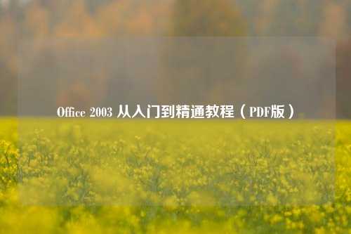 Office 2003 从入门到精通教程(PDF版)