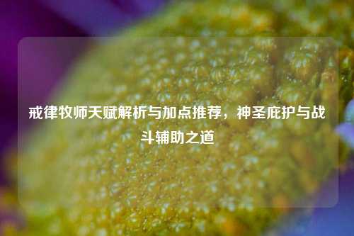 戒律牧师天赋解析与加点推荐，神圣庇护与战斗辅助之道