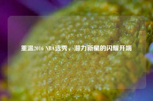 重温2016 NBA选秀,潜力新星的闪耀开端