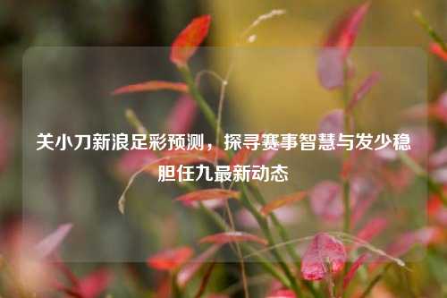 关小刀新浪足彩预测,探寻赛事智慧与发少稳胆任九最新动态