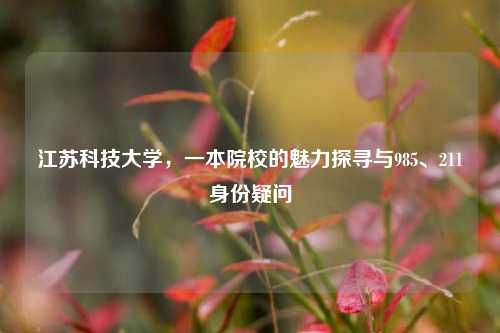 江苏科技大学,一本院校的魅力探寻与985、211身份疑问